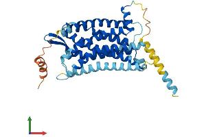 Protein Structure (PS) image for G Protein-Coupled Receptor 15 (GPR15) (AA 1-360) protein (His tag) (ABIN7556952)