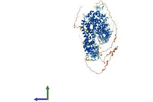 AlphaFold protein structure predicition of Mouse Recombinant Daam2 Protein, UniprotID Q80U19 (DAAM2 Protein (AA 1-1115) (His tag))