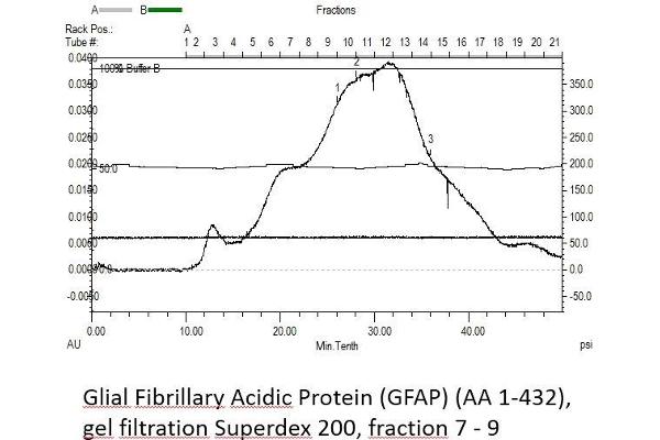 GFAP Protein (AA 1-432) (His tag)