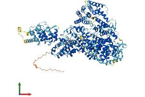 AlphaFold protein structure predicition of Human Recombinant MED23 Protein, UniprotID Q9ULK4 (MED23 Protein (AA 1-1368) (His tag))