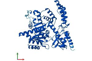 AlphaFold protein structure predicition of Mouse Recombinant Ddc Protein, UniprotID O88533 (DDC Protein (AA 1-480) (His tag))