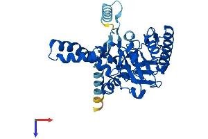 AlphaFold protein structure predicition of Human Recombinant DGAT2L6 Protein, UniprotID Q6ZPD8 (DGAT2L6 Protein (AA 1-337) (His tag))