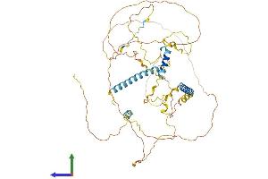 AlphaFold protein structure predicition of Human Recombinant LAD1 Protein, UniprotID O00515