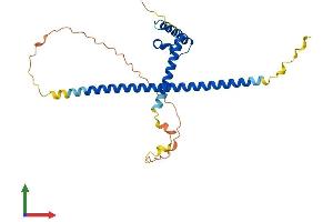 Protein Structure (PS) image for Myb/SANT-Like DNA-Binding Domain Containing 3 (MSANTD3) (AA 1-275) protein (His tag) (ABIN7549586)