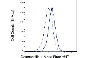 Validation of Desmocollin 1 knockdown using flow cytometry. (Recombinant Desmocollin 1 antibody)