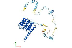 Protein Structure (PS) image for Tropomodulin 2 (TMOD2) (AA 1-351) protein (His tag) (ABIN7544576)