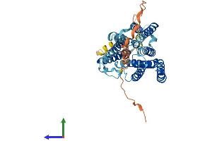 Protein Structure (PS) image for NIPA-Like Domain Containing 4 (NIPAL4) (AA 1-406) protein (His tag) (ABIN7559038)