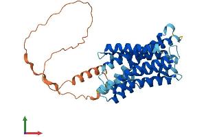 AlphaFold protein structure predicition of Human Recombinant SLC39A11 Protein, UniprotID Q8N1S5