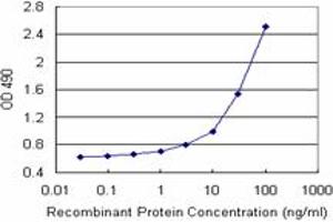 Sandwich ELISA detection sensitivity ranging from 1 ng/mL to 100 ng/mL.