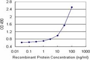 Sandwich ELISA detection sensitivity ranging from 1 ng/mL to 100 ng/mL. (CSTB (Human) Matched Antibody Pair)