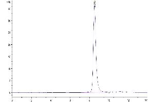 The purity of Human TNFR1 is greater than 95 % as determined by SEC-HPLC. (TNFRSF1A Protein (AA 30-211) (His tag))