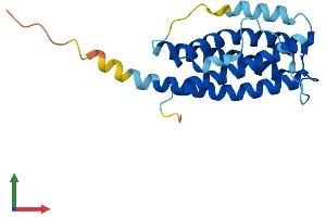 Protein Structure (PS) image for Cardiotrophin 1 (CTF1) (AA 1-203) protein (His tag) (ABIN7557601)