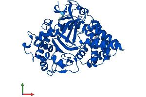 AlphaFold protein structure predicition of Human Recombinant SMYD3 Protein, UniprotID Q9H7B4 (SMYD3 Protein (AA 1-428) (His tag))