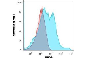 Flow Cytometric Analysis of HEK293 cells using Neurofilament Mouse Recombinant Monoclonal Antibody (rNF421) followed by goat anti-Mouse IgG-CF488 (Blue); Isotype control (Red). (Recombinant NEFH antibody)