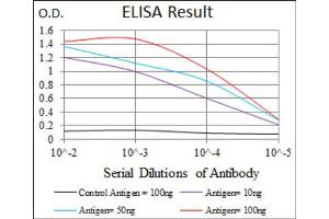 Red: Control Antigen (100ng) ; Purple: Antigen (10ng) ; Green: Antigen (50ng) ; Blue: Antigen (100ng). (Lp(a) antibody  (AA 4330-4521))