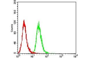 Flow cytometric analysis of THP-1 cells using CD15 mouse mAb (green) and negative control (red).