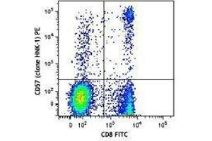 Flow Cytometry (FACS) image for anti-beta-1,3-Glucuronyltransferase 1 (Glucuronosyltransferase P) (B3GAT1) antibody (PE) (ABIN2662663) (CD57 antibody  (PE))