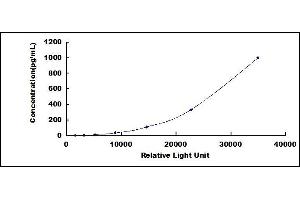 Typical standard curve