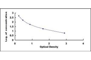 Image no. 1 for Urotensin 2 (UTS2) ELISA Kit (ABIN1873309)