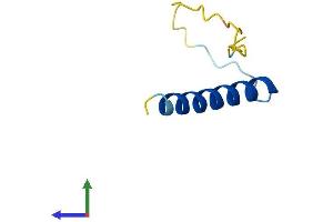 AlphaFold protein structure predicition of Human Recombinant PCP4 Protein, UniprotID P48539