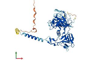 Protein Structure (PS) image for Transmembrane Protease, Serine 3 (TMPRSS3) (AA 1-453) protein (His tag) (ABIN7559483)