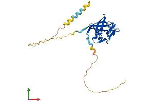 Protein Structure (PS) image for Fibroblast Growth Factor 13 (FGF13) (AA 1-245) protein (His tag) (ABIN7556708)