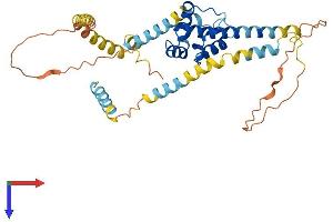 AlphaFold protein structure predicition of Human Recombinant SYAP1 Protein, UniprotID Q96A49 (SYAP1 Protein (AA 1-352) (His tag))