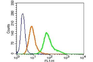 Human Hela cells probed with HOPX Polyclonal Antibody, A488 conjugated -A488) (green) at 1:100 for 30 minutes compared to unstained cells (blue) and isotype control (orange). (HOPX antibody  (AA 25-73))