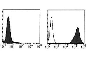 Flow Cytometry (FACS) image for anti-Interleukin 12 Receptor beta 1 (IL12RB1) antibody (PE) (ABIN1449167)