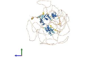 Protein Structure (PS) image for SAM and SH3 Domain Containing 1 (SASH1) (AA 1-1247) protein (His tag) (ABIN7555358)