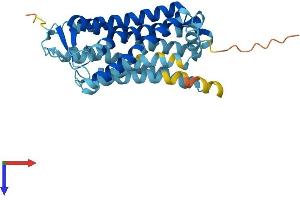 AlphaFold protein structure predicition of Human Recombinant OR4A8 Protein, UniprotID P0C604 (OR4A8 Protein (AA 1-315) (His tag))