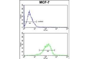 RBM3 Antibody (C-term) (ABIN391592 and ABIN2841521) FC analysis of MCF-7 cells (bottom histogram) compared to a negative control cell (top histogram).
