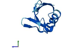 Protein Structure (PS) image for Ubiquitin-Like 5 (UBL5) (AA 1-73) protein (Fc Tag) (ABIN7545016)