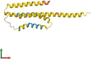 AlphaFold protein structure predicition of Human Recombinant XKRY Protein, UniprotID O14609 (XKRY Protein (AA 1-159) (His tag))