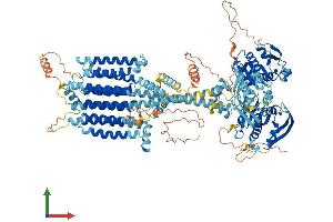 Protein Structure (PS) image for Adenylate Cyclase 3 (ADCY3) (AA 1-1145) protein (His tag) (ABIN7564761)