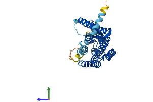 AlphaFold protein structure predicition of Human Recombinant OR5H1 Protein, UniprotID A6NKK0 (OR5H1 Protein (AA 1-313) (His tag))