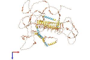 AlphaFold protein structure predicition of Human Recombinant NPIPB11 Protein, UniprotID E5RHQ5 (NPIPB11 Protein (AA 1-1161) (His tag))