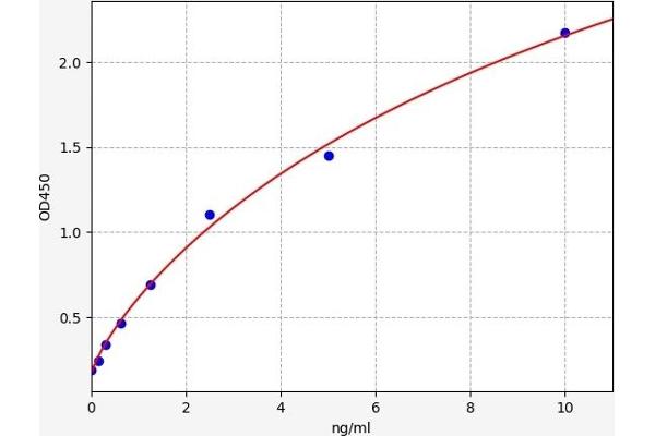 Coronin 1a ELISA Kit