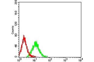 Flow cytometric analysis of Jurkat cells using CHRM3 mouse mAb (green) and negative control (red). (CHRM3 antibody)