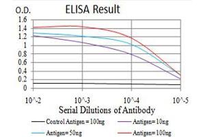 Black line: Control Antigen (100 ng), Purple line: Antigen(10 ng), Blue line: Antigen (50 ng), Red line: Antigen (100 ng), (PRDM1 antibody  (AA 690-825))