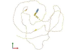 AlphaFold protein structure predicition of Human Recombinant GPATCH2L Protein, UniprotID Q9NWQ4 (GPATCH2L Protein (AA 1-482) (His tag))