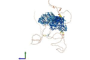 AlphaFold protein structure predicition of Human Recombinant TOP2A Protein, UniprotID P11388 (Topoisomerase II alpha Protein (AA 1-1531) (His tag))