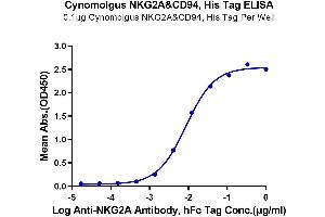 Immobilized Cynomolgus NKG2A&CD94, His Tag at 1 μg/mL (100 μL/well) on the plate. (NKG2A & CD94 (AA 94-233) protein (His tag,DYKDDDDK Tag))