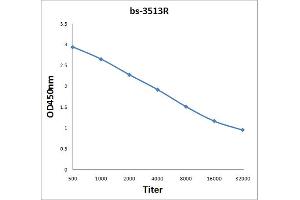 Antigen: 2 µg/100 µL  Primary: Antiserum, 1:500, 1:1000, 1:2000, 1:4000, 1:8000, 1:16000, 1:32000;  Secondary: HRP conjugated Rabbit Anti-Goat IgG at 1: 5000;  TMB staining Read the data in Microplate Reader by 450nm. (NR4A1 antibody  (AA 351-450))