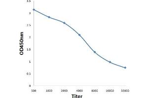 Antigen: 0. (ABAT antibody  (AA 151-250))