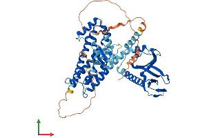 AlphaFold protein structure predicition of Mouse Recombinant Arhgef9 Protein, UniprotID Q3UTH8 (Arhgef9 Protein (AA 1-516) (His tag))