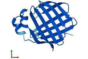 Protein Structure (PS) image for Fatty Acid Binding Protein 1, Liver (FABP1) (AA 1-127) protein (His tag) (ABIN7547501)
