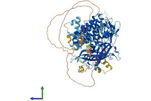 Protein Structure (PS) image for Nephronophthisis 1 (Juvenile) (NPHP1) (AA 1-732) protein (His tag) (ABIN7554793)