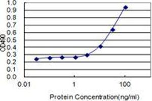 Detection limit for recombinant GST tagged C10orf63 is 1 ng/ml as a capture antibody. (ENKUR antibody  (AA 1-256))