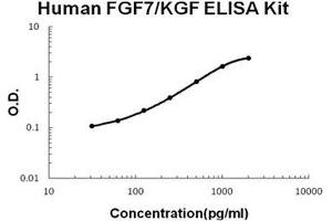 Human FGF7/KGF PicoKine ELISA Kit standard curve